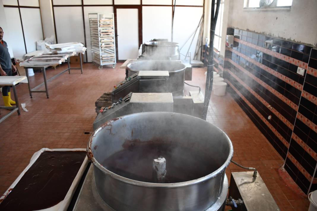 Sakarya Nehrinin suladığı topraklarda üretiliyor. Katar, ABD ve Almanya'ya gönderiliyor 2